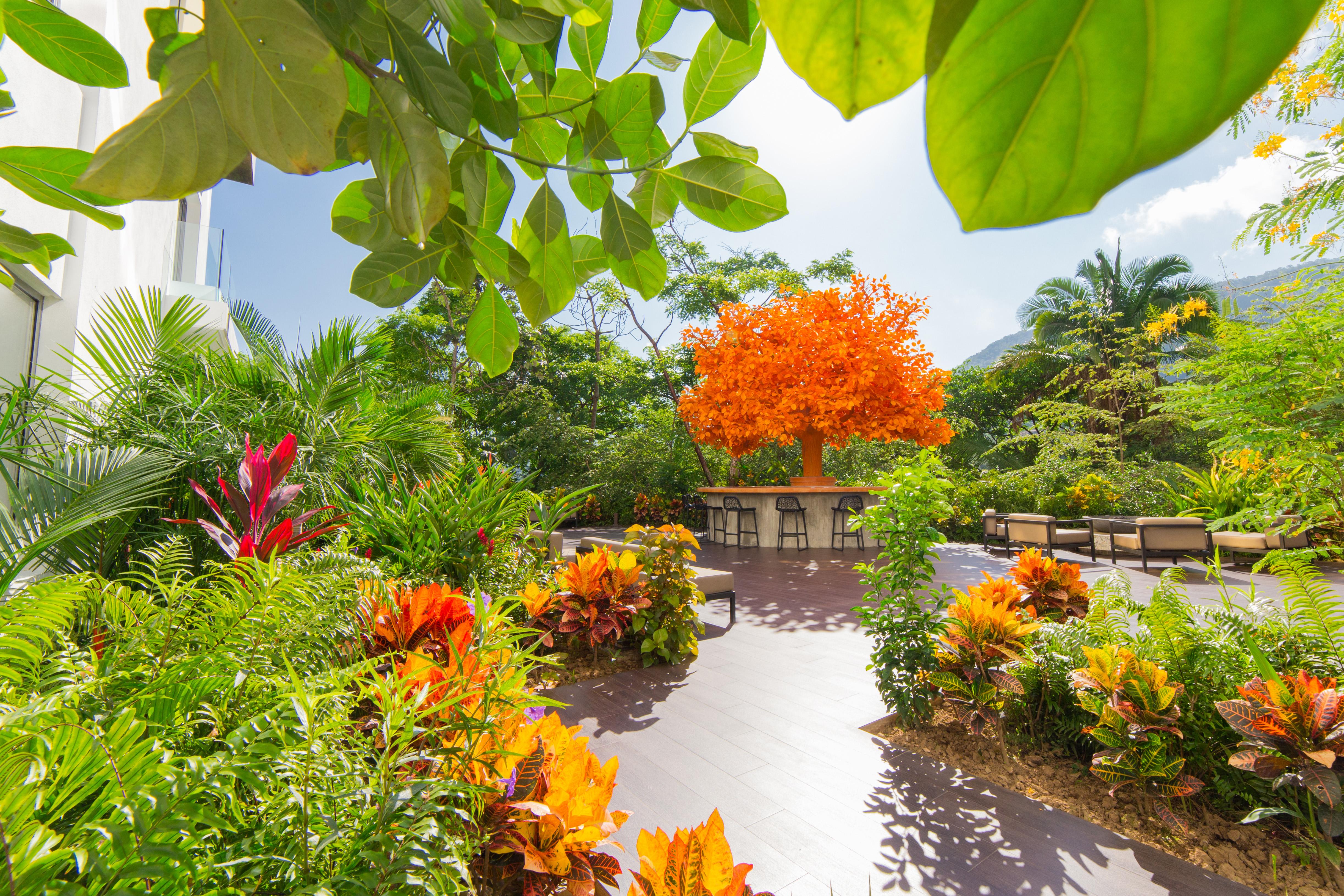 Hotel Mousai - Adults Only Puerto Vallarta Zewnętrze zdjęcie